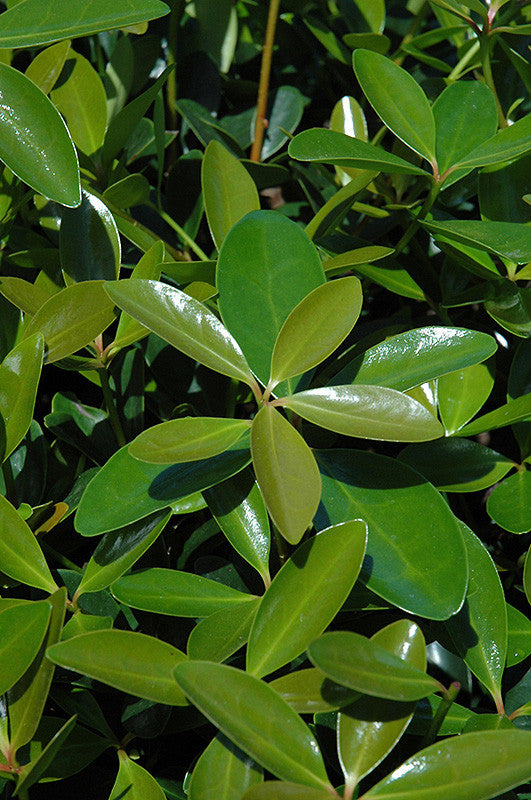 F881-25__41594.1626477914.1280