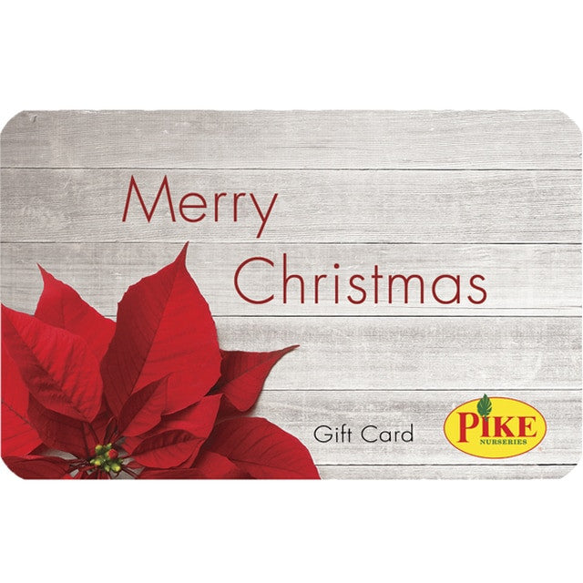 Digital Christmas Poinsettia eGift Card Pike Nursery