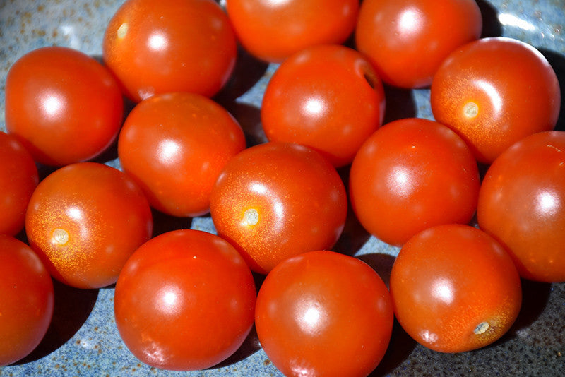Sweet 100 Tomato 4 inch