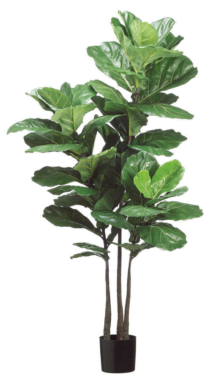 artificial fiddle leaf fig trees Allstate 70 inch Potted Artificial Fiddle Leaf Plant, Green
