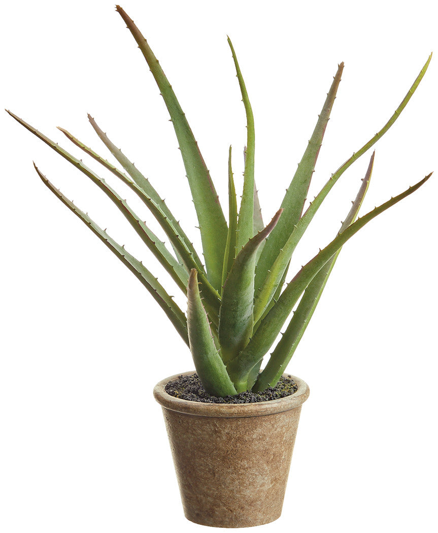 paper mache pot plants Faux Soft Agave in Paper Mache Pot Green