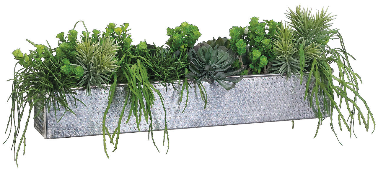 fake plant in rectangular pot Faux Aeonium/Cactus Mix In Aluminum Rectangular Planter Green