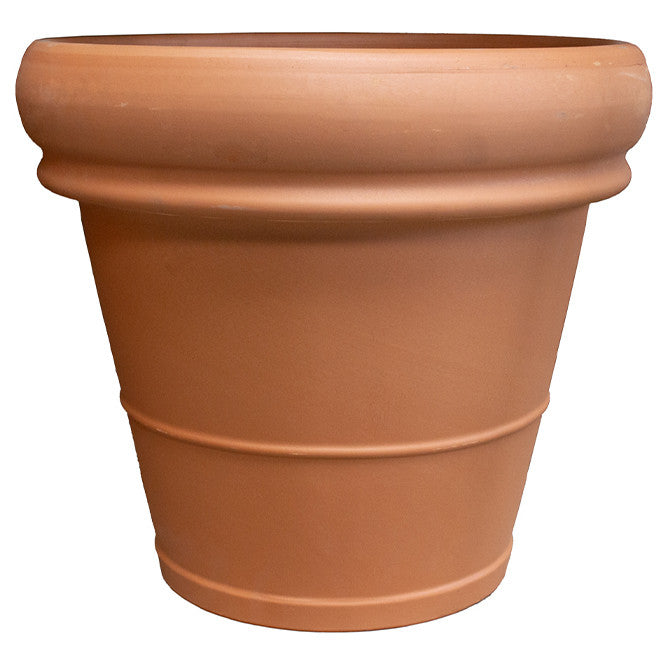 terra cotta plant pot Terra Cotta Heavy Rimmed Pot