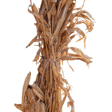 Decorative Corn Stalks