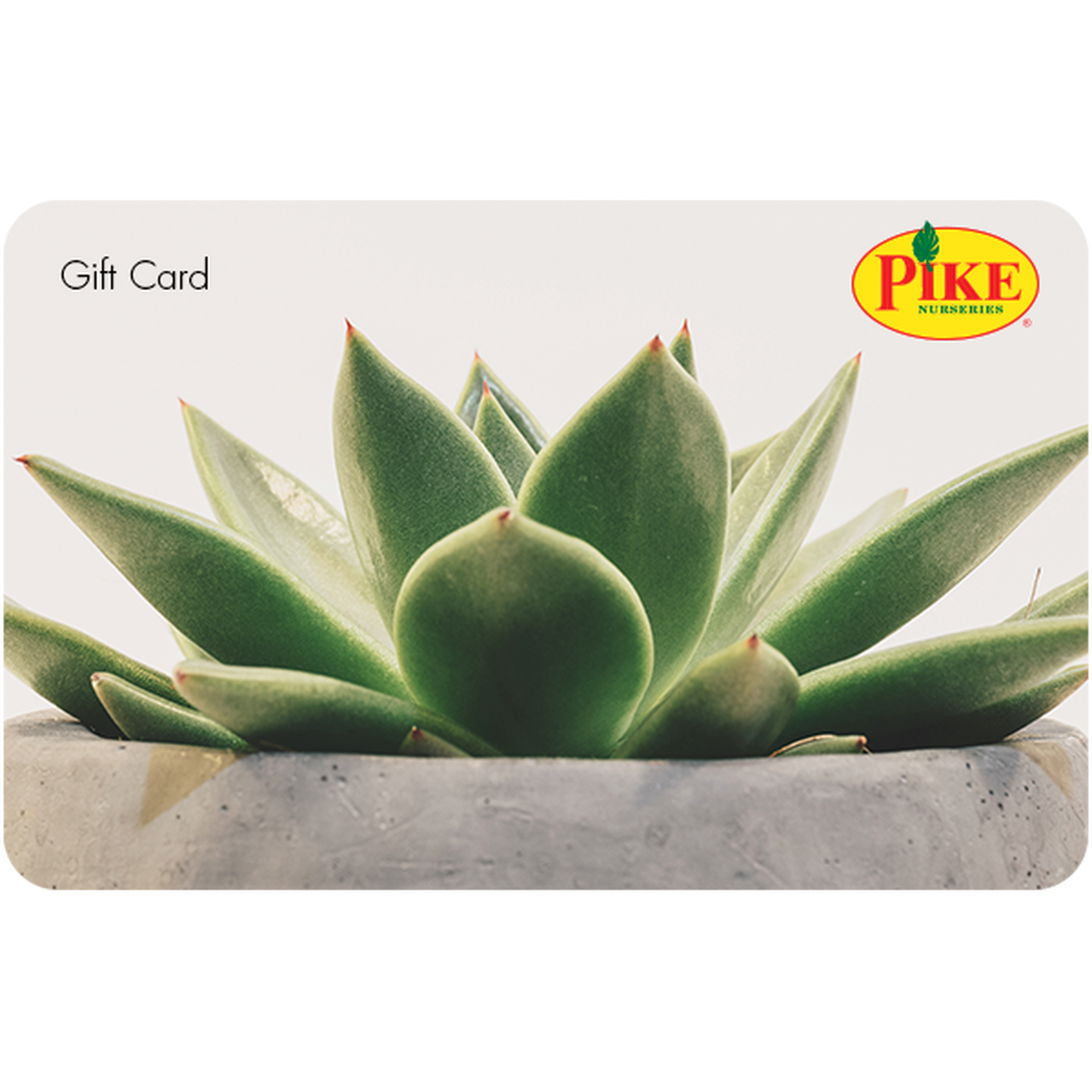 succulent card Digital Potted Succulent eGift Card – Pike Nursery