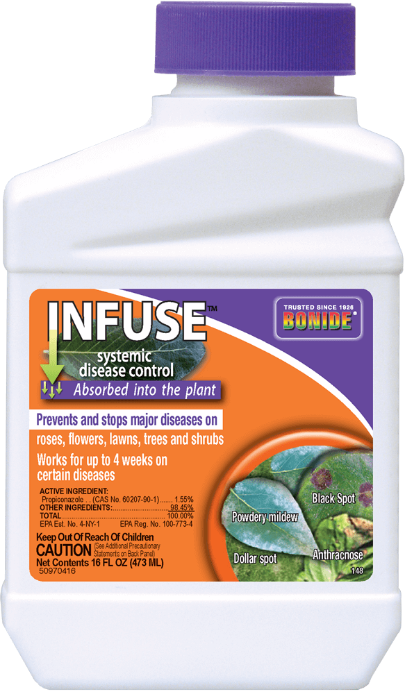 systemic fungicide for indoor plants Infuse Systemic Disease Control Bonide 16 oz