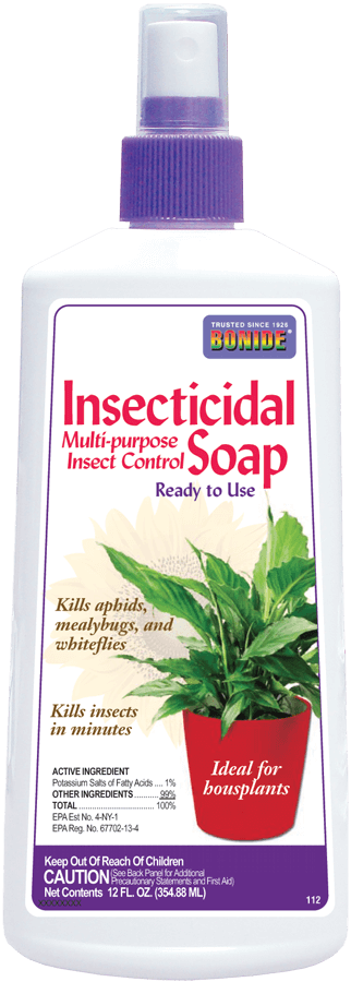 rosemary-based insecticidal soap Bonide Insecticidal Soap (12oz)