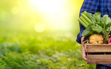 April Lawn & Garden Tips