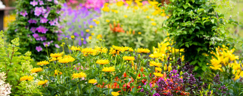 Landscape Design Spotlight March 21st 10am - 3pm - Sign Up Now