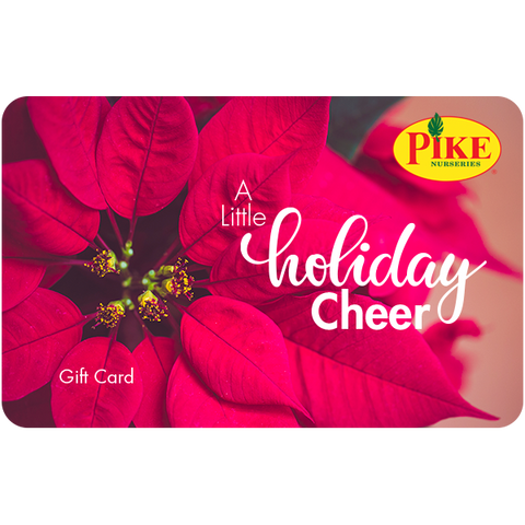 Digital A Little Holiday Cheer eGift Card