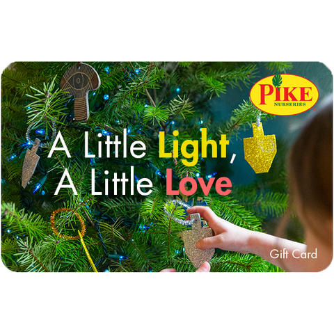 Digital A Little Light, A Little Love eGift Card