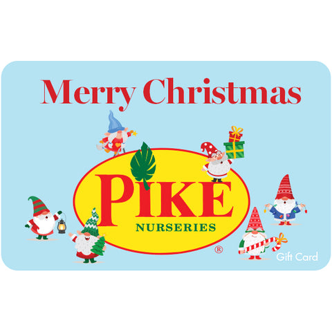 Digital Gnome Christmas Magic eGift Card