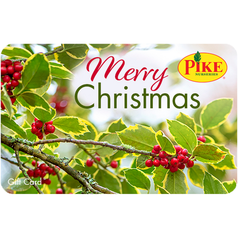 Digital Holiday Holly eGift Card