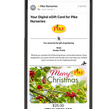 Digital Holiday Holly eGift Card