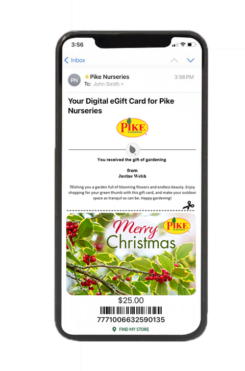 Digital Holiday Holly eGift Card