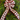 #40 6-Loop Wired Plaid Bow