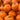 Orange Carving Pumpkin- Medium