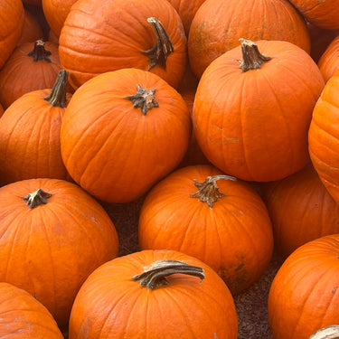 Fall Porch Package - Go Classic