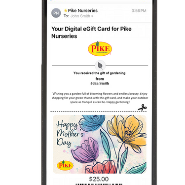 Digital Blooms for Mom eGift Card