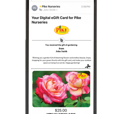 Digital Every Shade of Love eGift Card