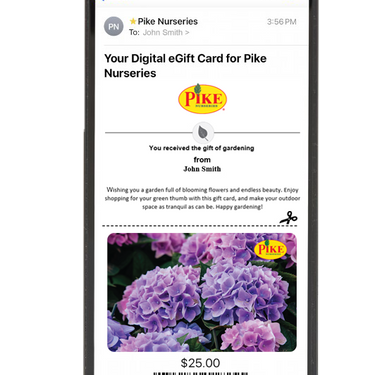 Digital Hydrangea Wishes eGift Card