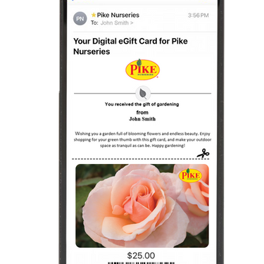 Digital Mother of Pearl Rose eGift Card