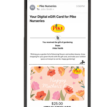 Digital Painted with Love for Mom eGift Card