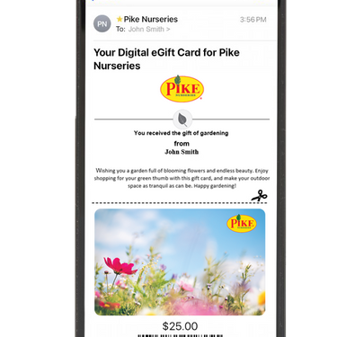 Digital Springtime Breeze eGift Card