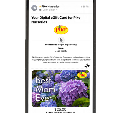 Digital Best Mom Ever eGift Card