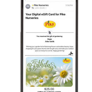 Digital Happy Birthday eGift Card