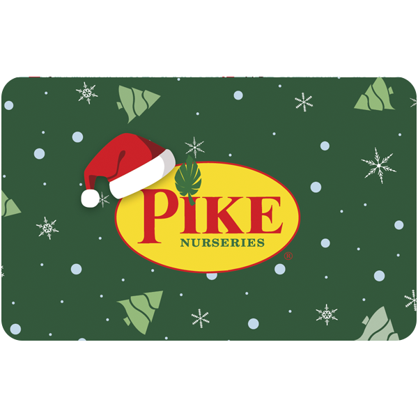 Digital Pike's Holiday eGift Card Pike Nursery