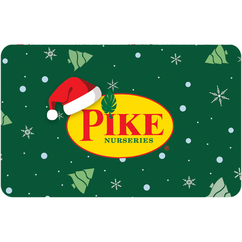 Digital Pike's Holiday eGift Card