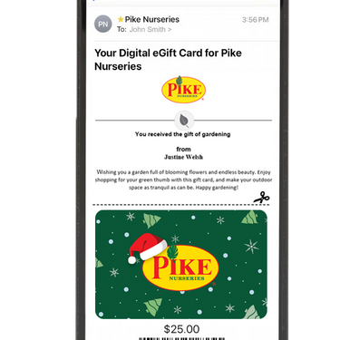 Digital Pike's Holiday eGift Card