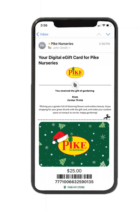 Digital Pike's Holiday eGift Card