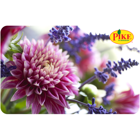 Digital Blooms & Lavender Dreams eGift Card