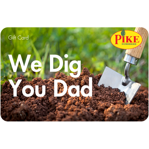 Digital We Dig You Dad eGift Card