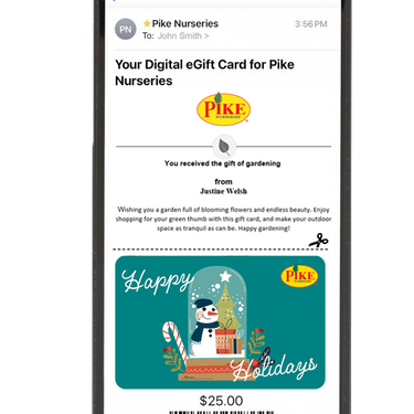 Digital Snow Globe Surprises eGift Card