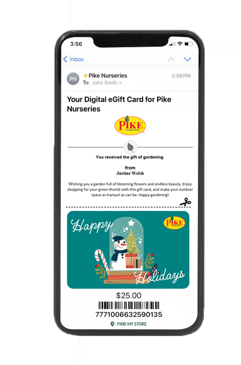 Digital Snow Globe Surprises eGift Card