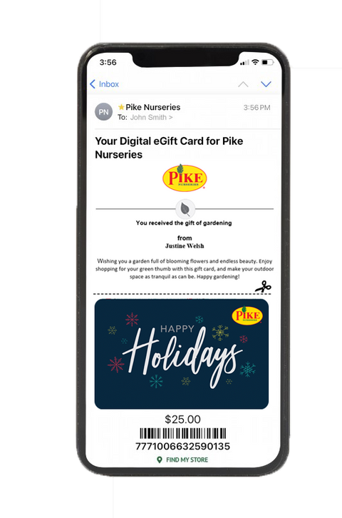 Digital Happy Holidays eGift Card