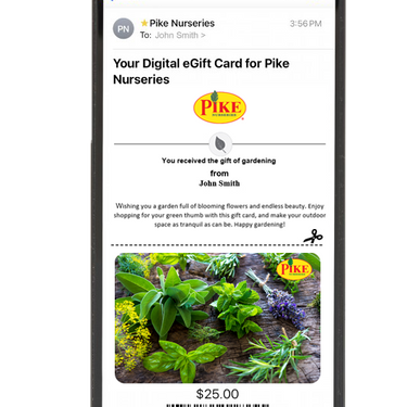 Digital Blissful Herbs eGift Card
