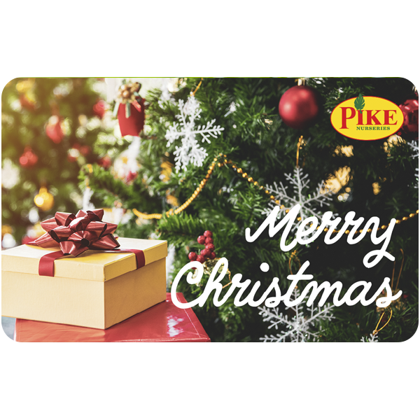 Digital Merry Christmas Tree Delight eGift Card