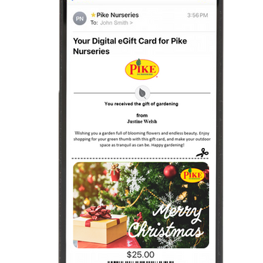 Digital Merry Christmas Tree Delight eGift Card