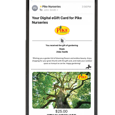 Digital Tree Top Tranquility eGift Card