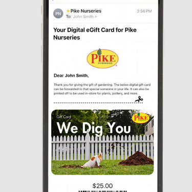 Digital We Dig You eGift Card