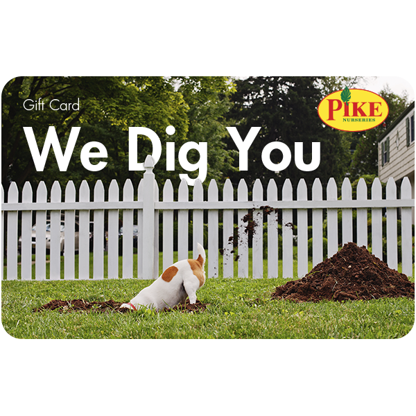 Digital We Dig You eGift Card โ Pike Nursery