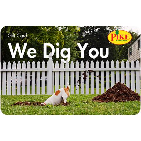 Digital We Dig You eGift Card