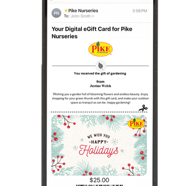 Digital Joyful Wishes Holiday eGift Card