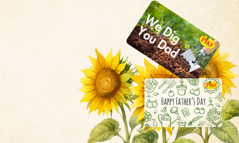 Digital Gift Cards for Dad