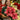 Poinsettia Pink