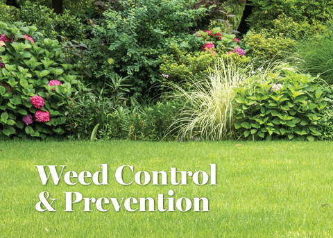 Landscape Gardeners Los Angeles County, CA